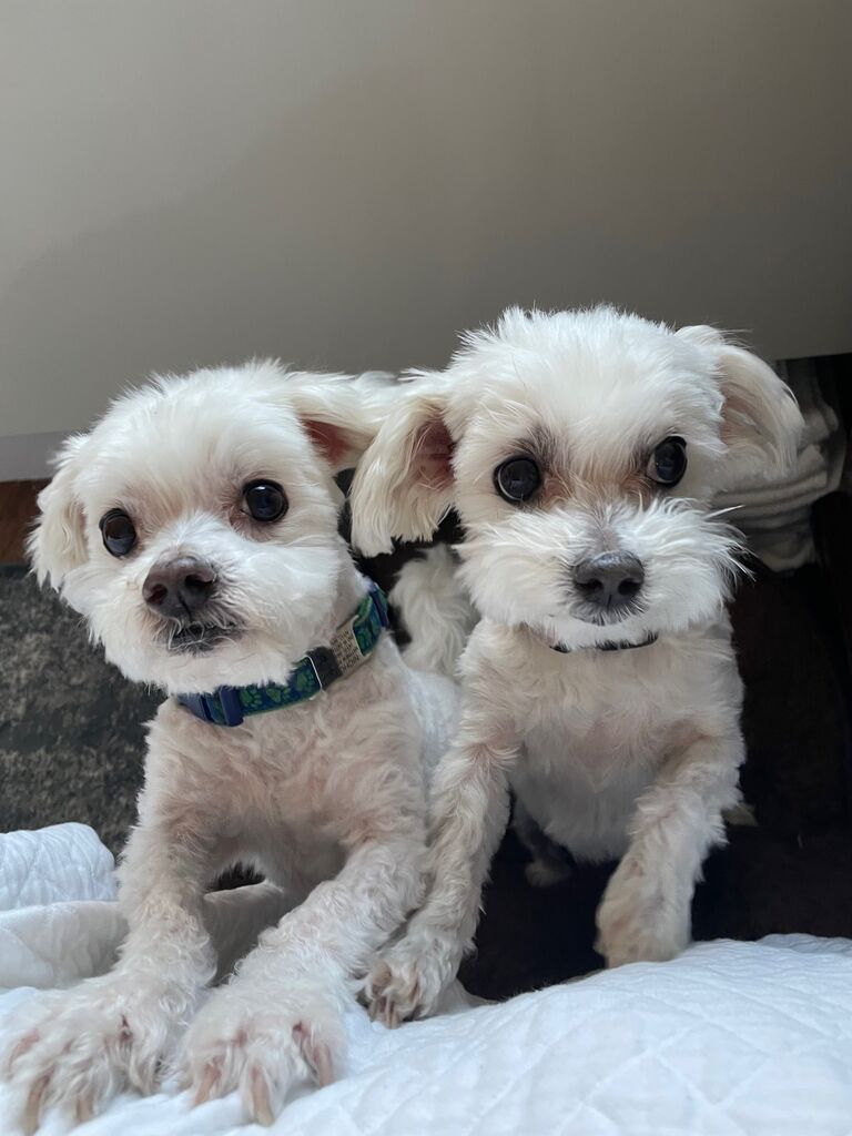 Since then, they've raised 2 babies...