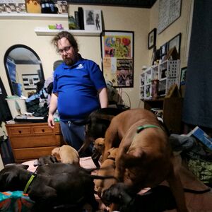 Gallery Photo 145