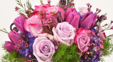 Schnuck's Florist Gifts Flowers Saint Louis, MO WeddingWire, 40% OFF