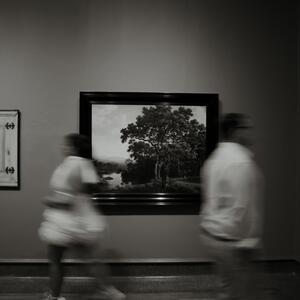 Gallery Photo 57