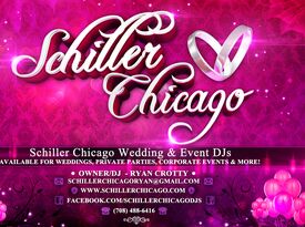 Schiller Chicago Wedding & Event DJS - Event DJ - Villa Park, IL - Hero Gallery 3