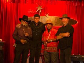 Mel Davis and The Blues Specialists - Blues Band - Austin, TX - Hero Gallery 2