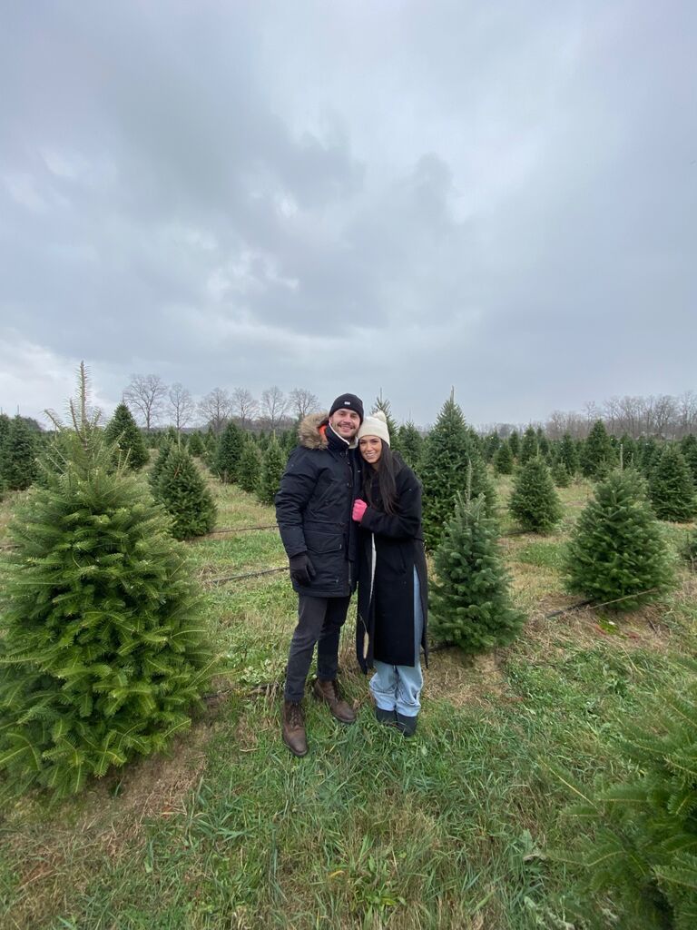 Christmas tree farm