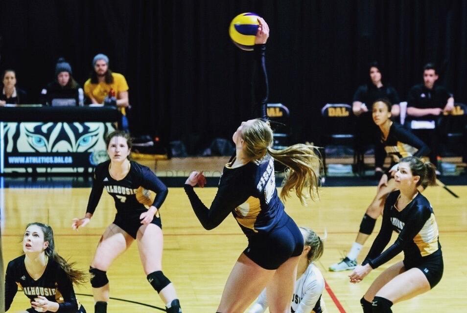 Our love for sports took us to much different places for our education. Mieke went East to Halifax, Nova Scotia to play Volleyball for Dalhousie University. At the time, Cole was playing junior Hockey in Salmon Arm and Prince George.