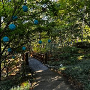 Gallery Photo 10