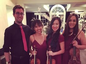 Gemini Strings - String Quartet - Los Angeles, CA - Hero Gallery 2