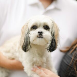 Gallery Photo 21