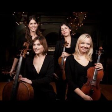The Muse Quartet - String Quartet - Chicago, IL - Hero Main