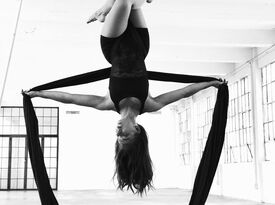 Colleen Sands Aerialist - Circus Performer - Raleigh, NC - Hero Gallery 2