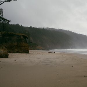 Gallery Photo 5