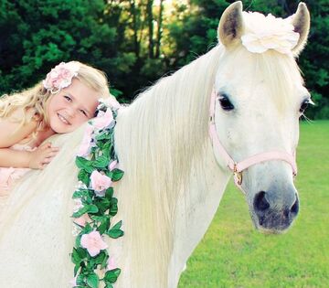 Chamberlin Pony Rides & Mobile Petting Zoo - Pony Rides - Detroit, MI - Hero Main