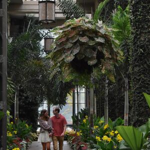 Gallery Photo 16