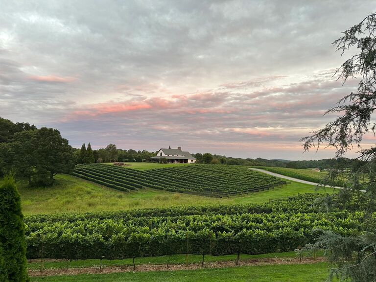 CeNita Winery and Venue