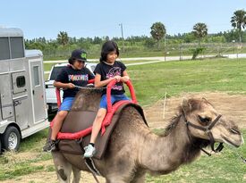 Middle Eastern Camel Co. - Animal For A Party - Bushnell, FL - Hero Gallery 4