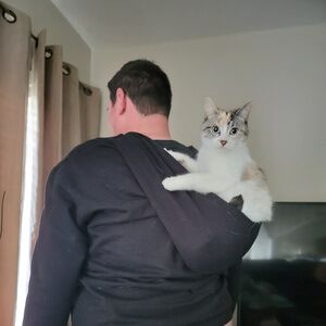 Gallery Photo 31