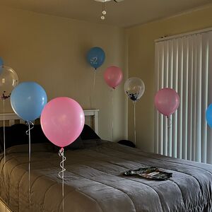 Gallery Photo 18