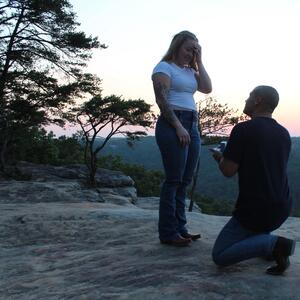 Gallery Photo 15