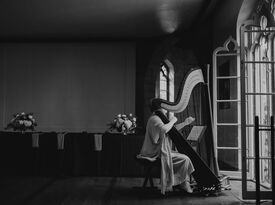 Kara Welch Harpist - Harpist - Baltimore, MD - Hero Gallery 3