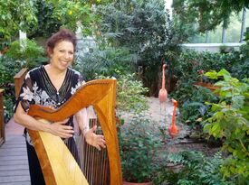 Melody Cooper Harpist - Harpist - Asheville, NC - Hero Gallery 1