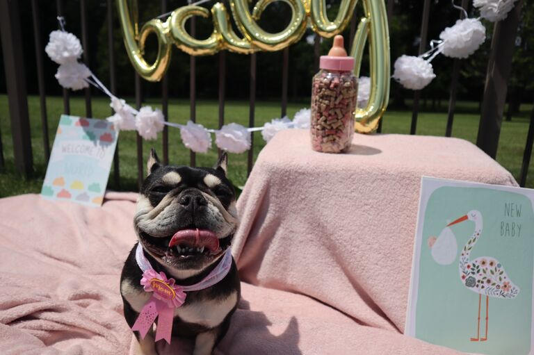 Discovered our Chanel was expecting! 

Being as extra as I am, you know I went all out with her pregnancy announcement shoot! 🤍
