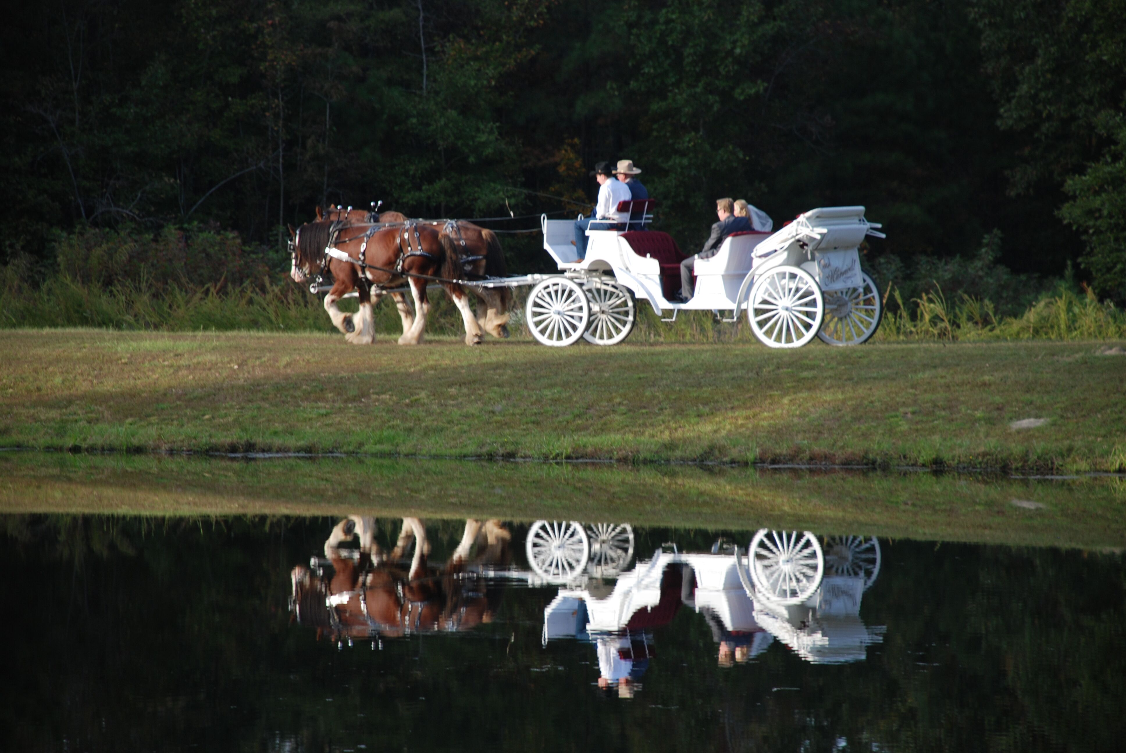 Bennett Bunn Plantation Reception  Venues  Zebulon  NC 