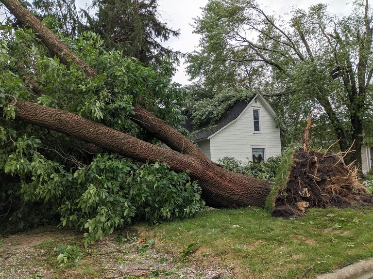 Derecho damage