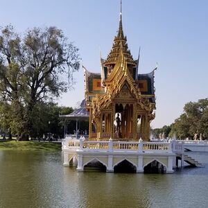 Gallery Photo 22