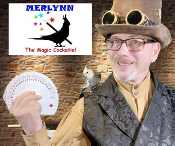 Leigh Hotz: The Wizard of Fun - Magician - Mesa, AZ - Hero Main
