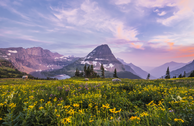 Hidden Lake in Glacier National Park, Montana