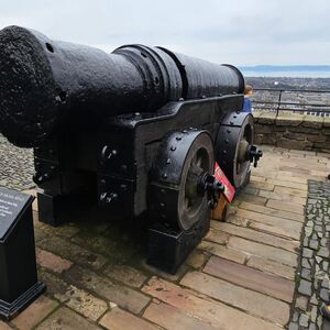 Gallery Photo 21