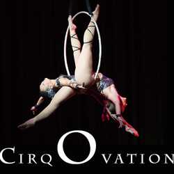 CirqOvation, profile image