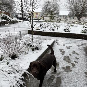 Gallery Photo 49