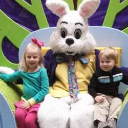 Kiddy's Kingdom/Celebrations Houston, TX, profile image