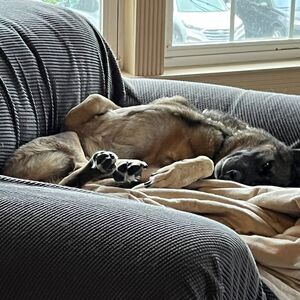 Gallery Photo 111