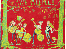 The Pine Needles - Acoustic Band - Petaluma, CA - Hero Gallery 3