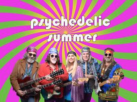 Psychedelic Summer - Woodstock-era tribute band - Pop Band - Ventura, CA - Hero Gallery 1