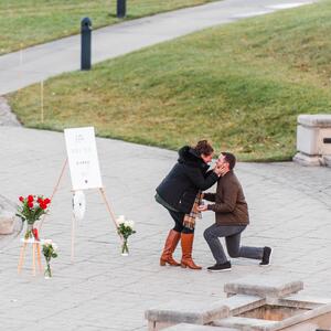 Gallery Photo 9