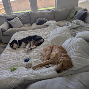 Gallery Photo 32