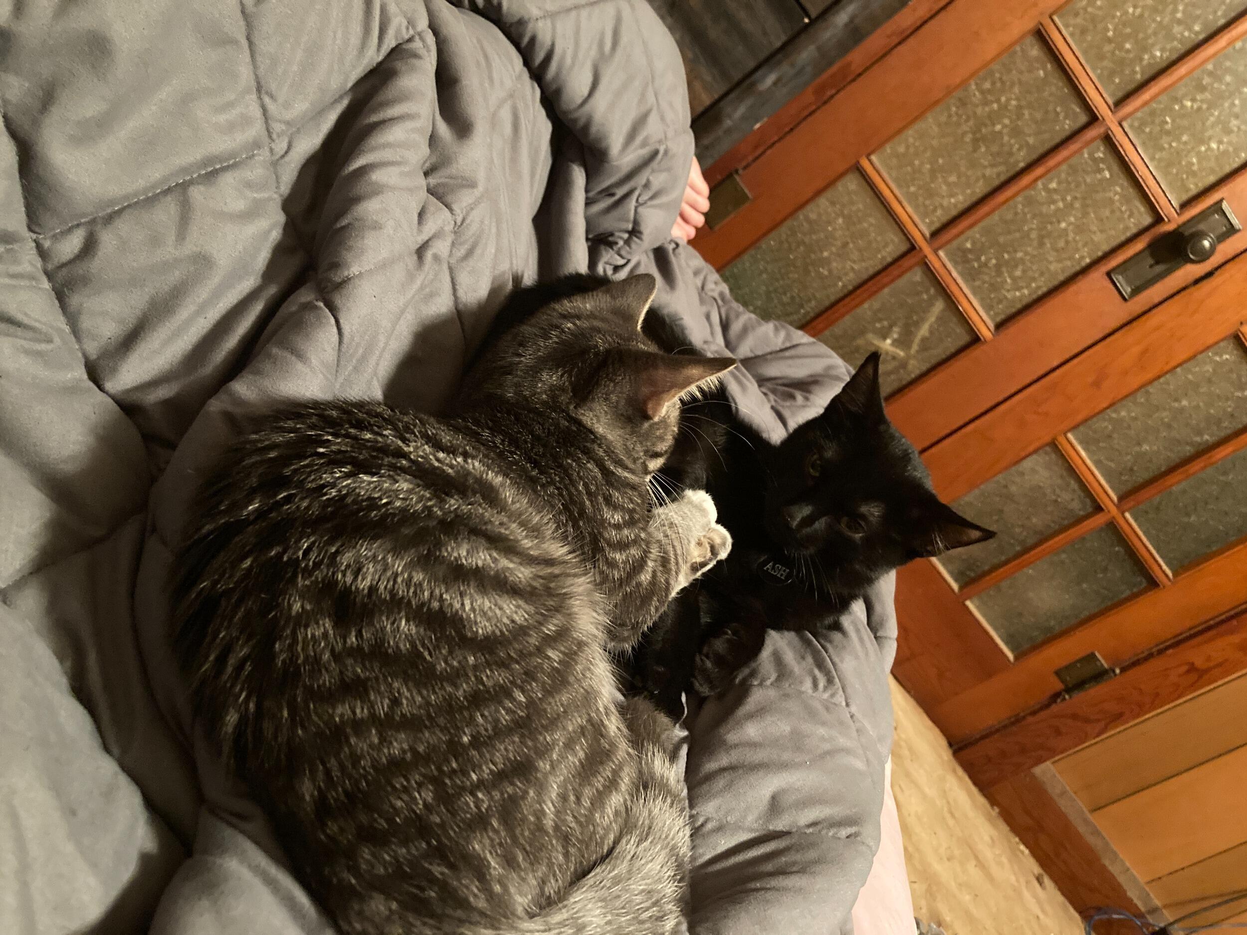 Spencer and Ash
Seymour, TX