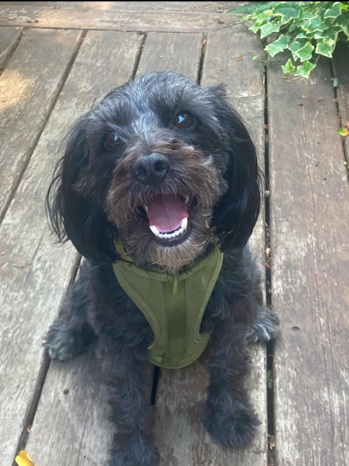 Suki gives her blessing and says we deserve lots of love and presents