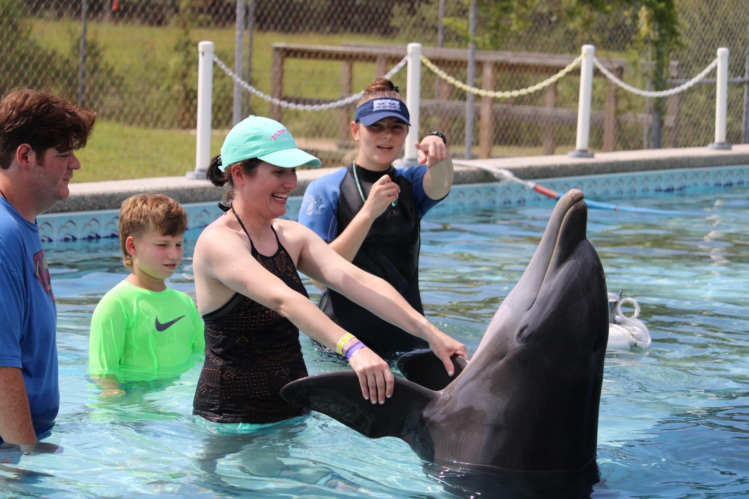 Dolphin Swim
