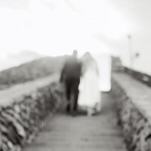 Gallery Photo 46