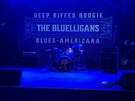 The Bluelligans - Blues Band - Greeley, CO - Hero Gallery 2