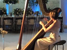 Susan Schnorr HARPIST  - Harpist - Conroe, TX - Hero Gallery 1