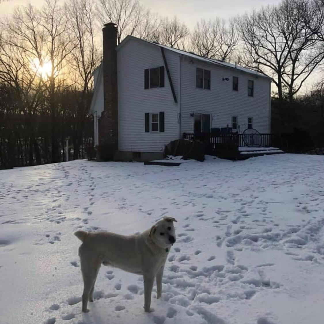 In 2020, we bought our first house in Sutton MA. We bought the house that Sarah grew up in and are very happy to be less than 5 minutes from family in friends.