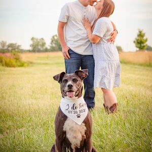 Gallery Photo 21
