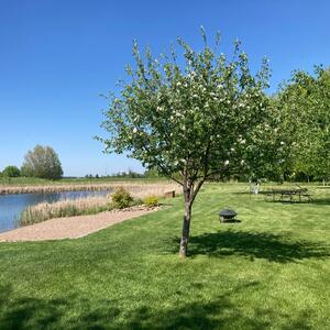 Gallery Photo 45