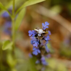 Gallery Photo 34