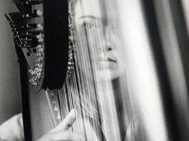 Molly Morgan - Harpist - Golden, CO - Hero Gallery 4