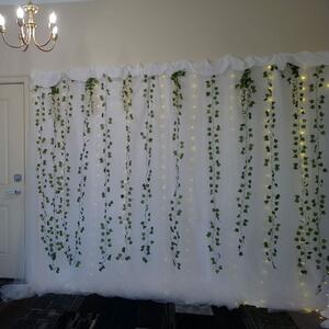 Gallery Photo 221